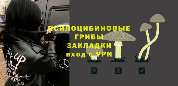 метадон Белокуриха