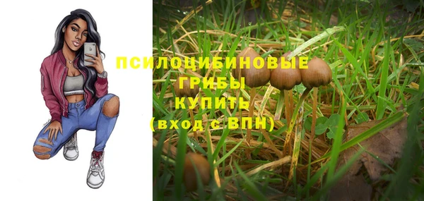 дурь Беломорск