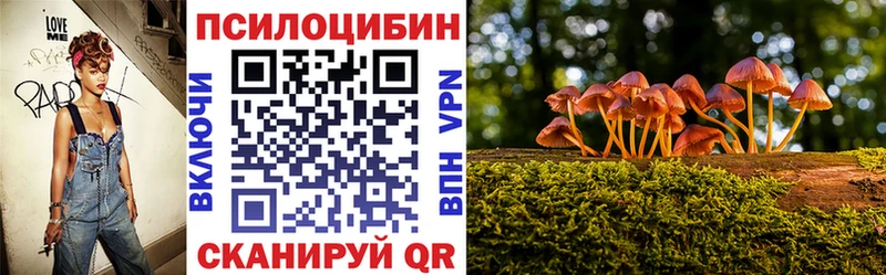 Псилоцибиновые грибы MAGIC MUSHROOMS Севск