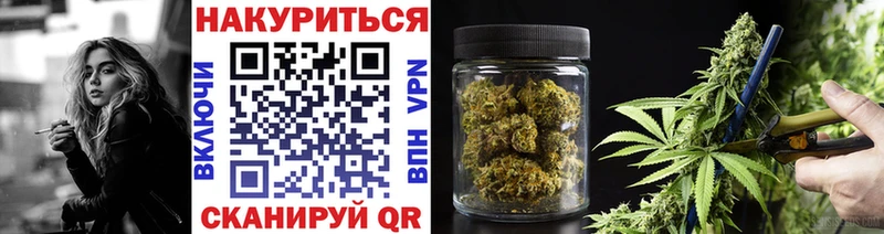 Марихуана сатива  магазин продажи   Севск 